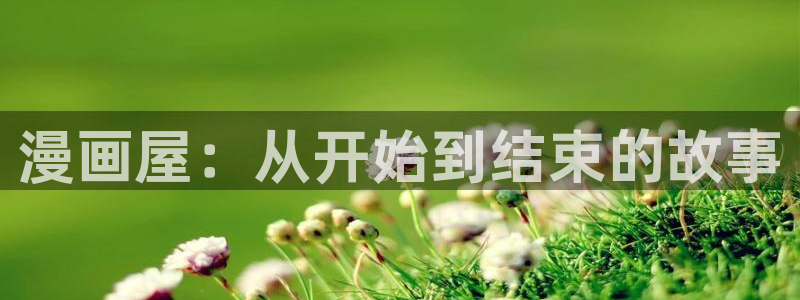 漫漫漫画漫画分类